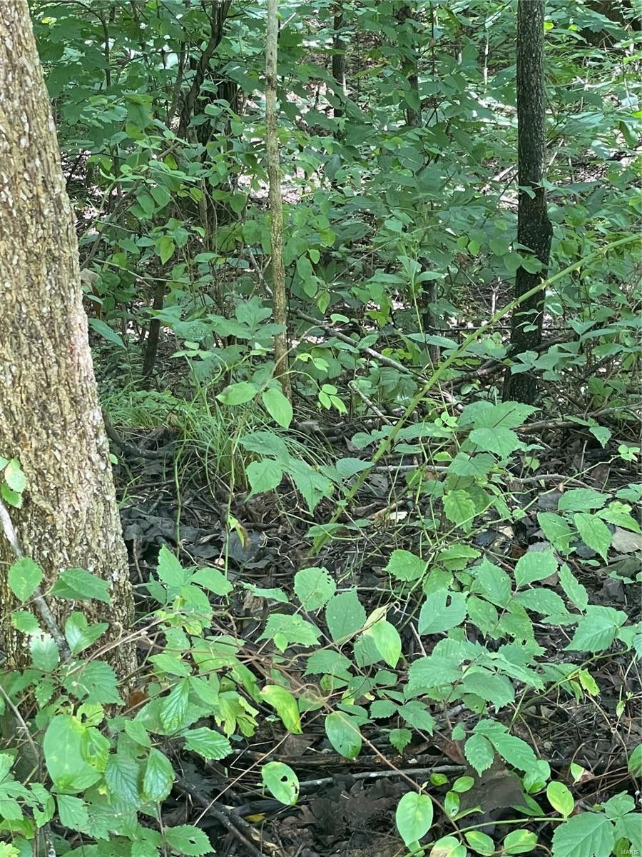 Hermann, Gasconade County, MO Farms and Ranches for sale Property ID