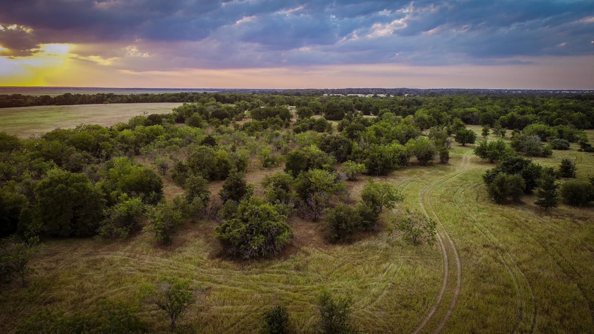 Hearne, Robertson County, TX Farms and Ranches, Recreational Property