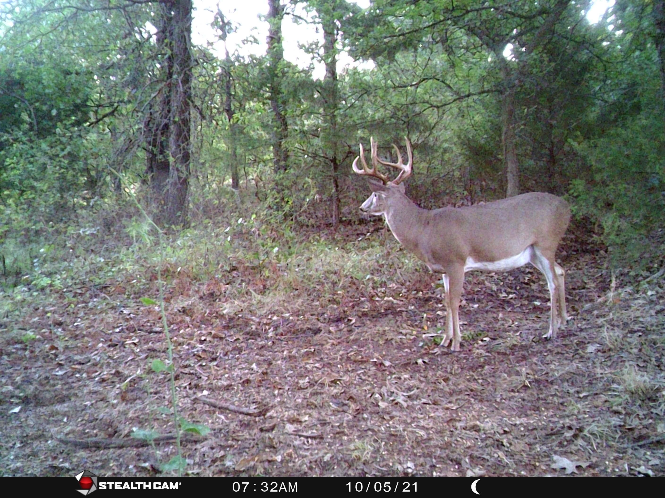 Chandler, Lincoln County, OK Recreational Property, Undeveloped Land, Hunting Property for sale
