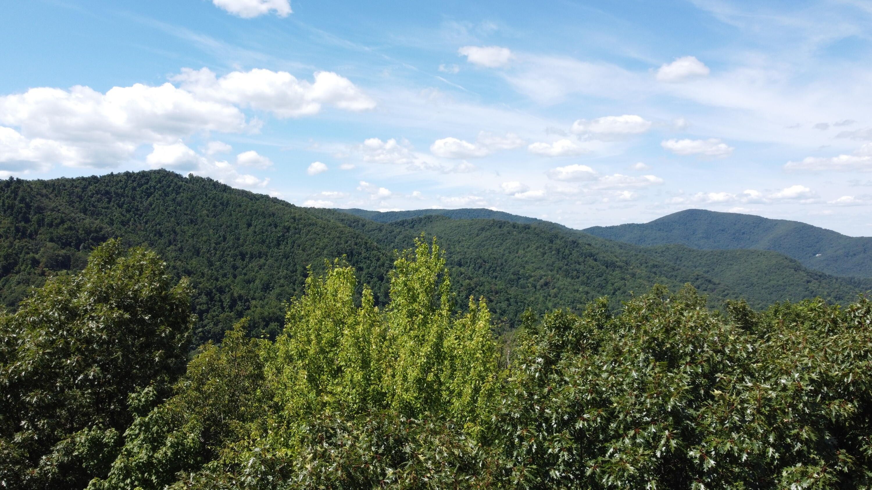 Boones Mill, Franklin County, VA Undeveloped Land for sale Property ID