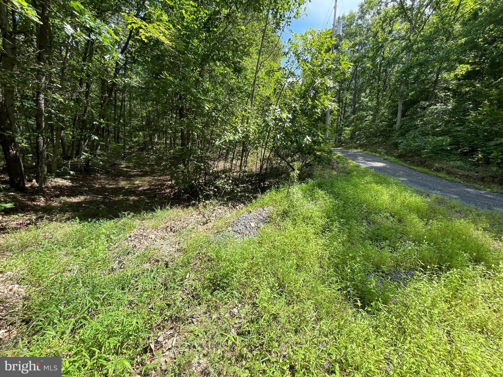 Springfield, Hampshire County, WV Undeveloped Land, Homesites for sale