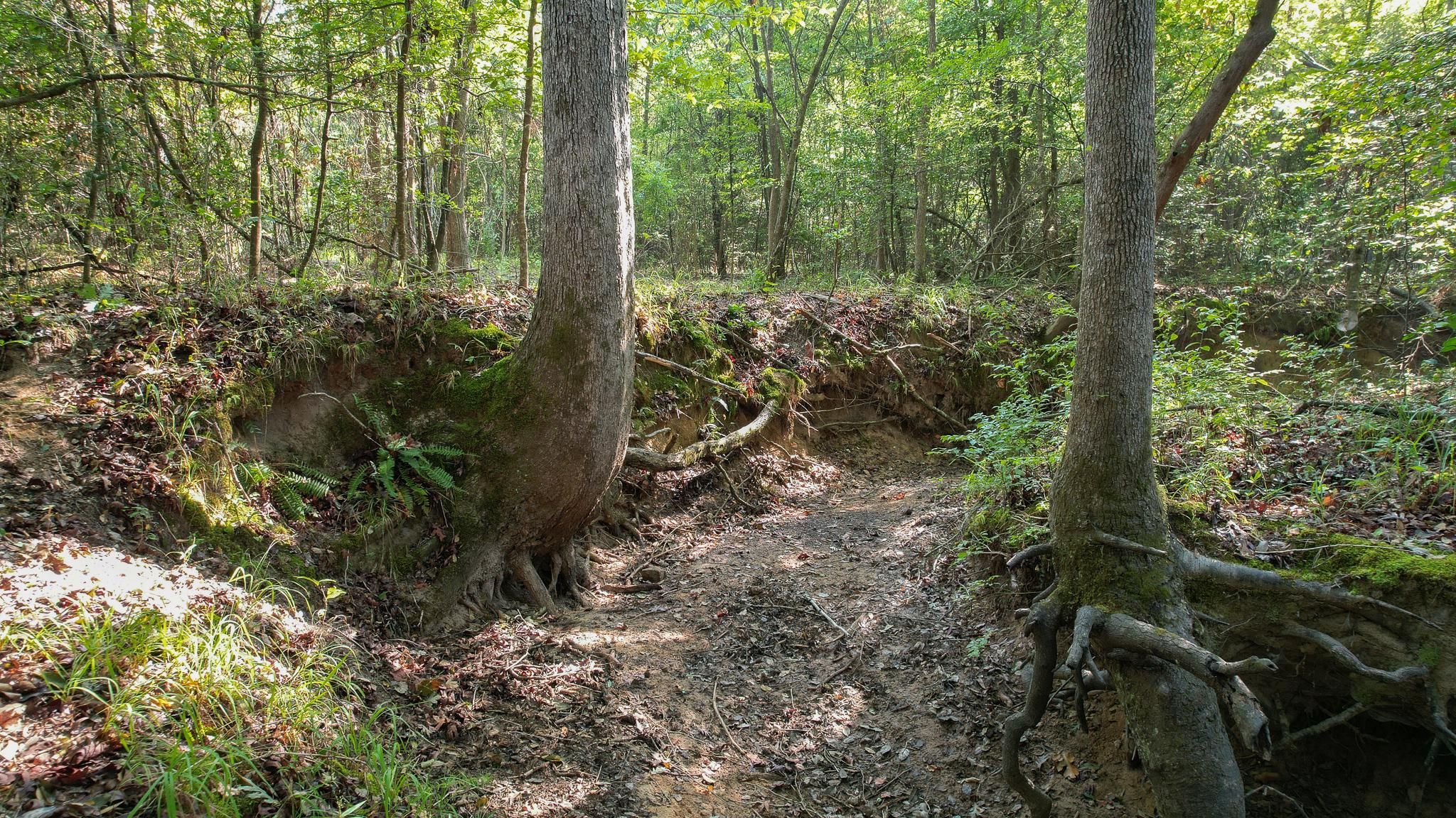 Jefferson, Marion County, TX Farms and Ranches, Recreational Property