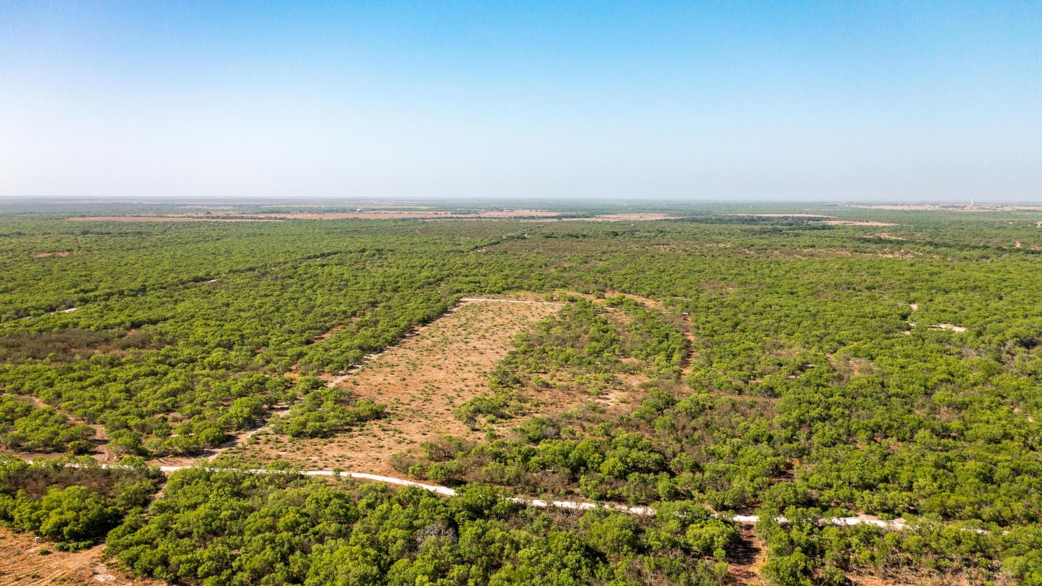 Three Rivers, Live Oak County, TX Farms and Ranches, Hunting Property