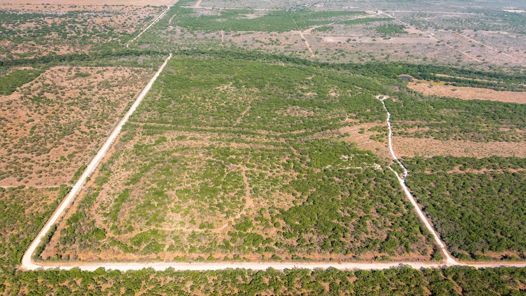 Three Rivers, Live Oak County, TX Farms and Ranches, Recreational