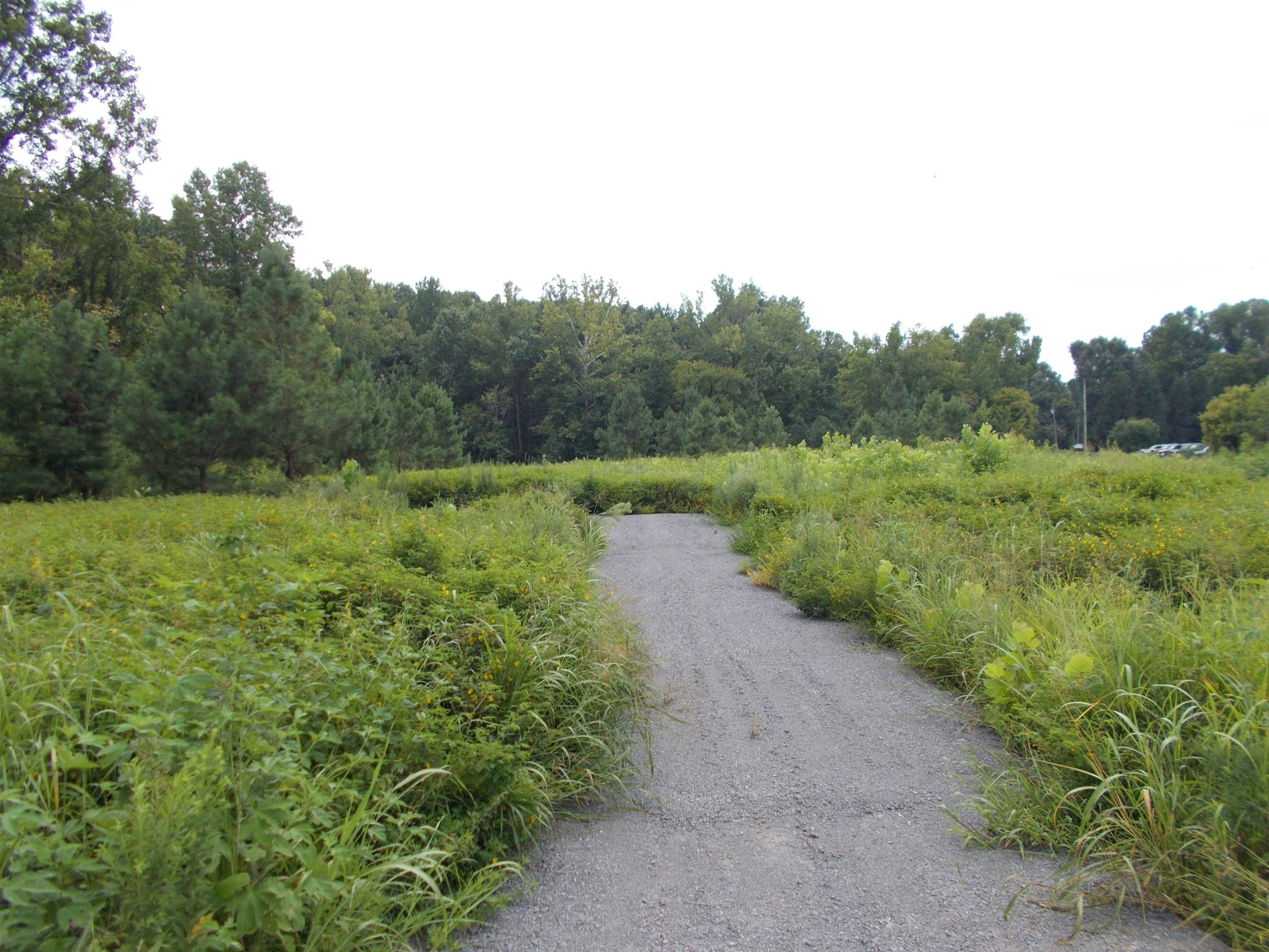 Ripley, Lauderdale County, TN Undeveloped Land, Homesites for sale