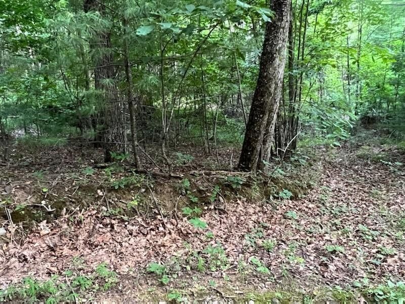 Gap Mills, Monroe County, WV Undeveloped Land for sale Property ID