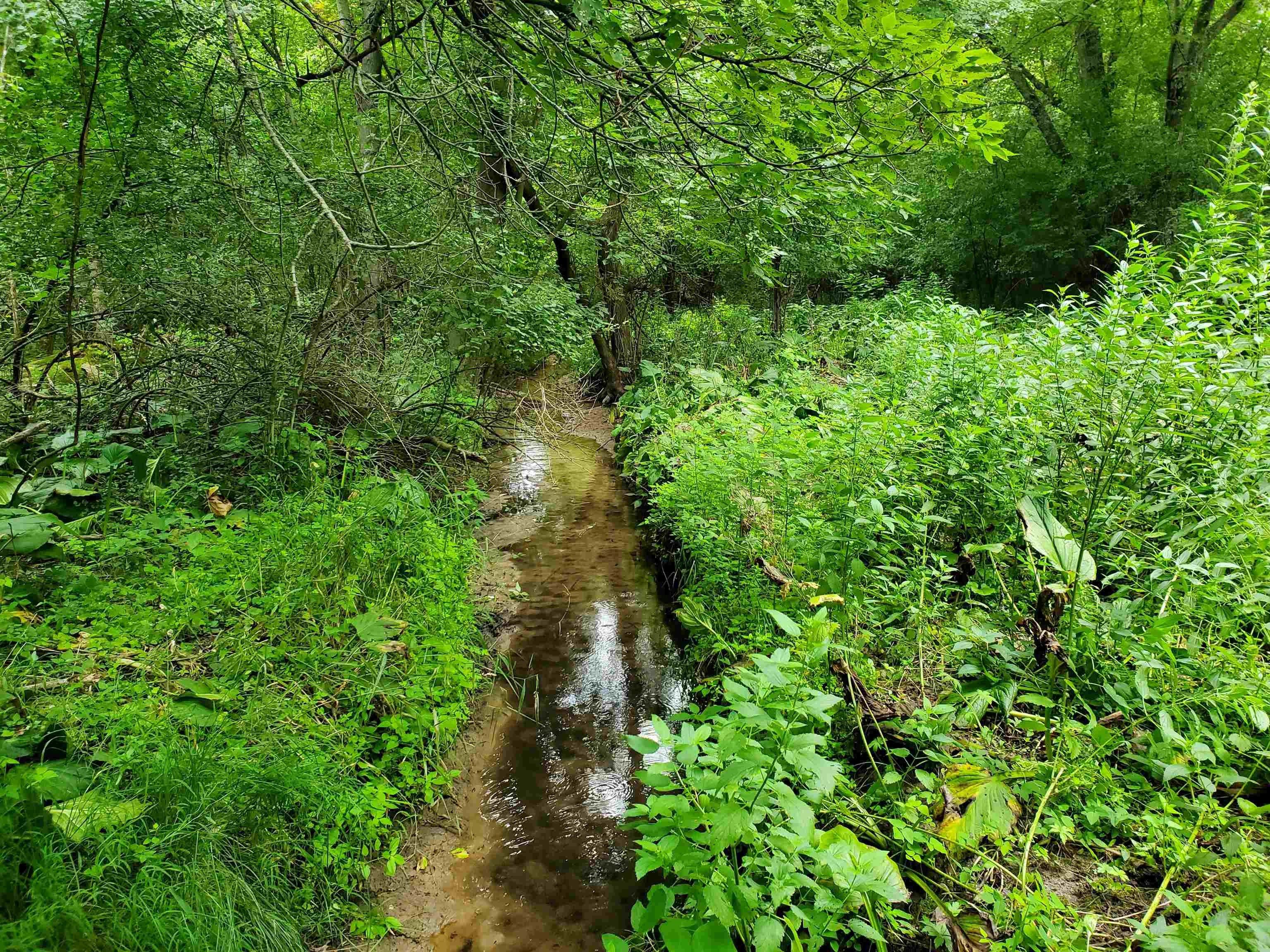 Princeton, Green Lake County, WI Undeveloped Land, Homesites for sale