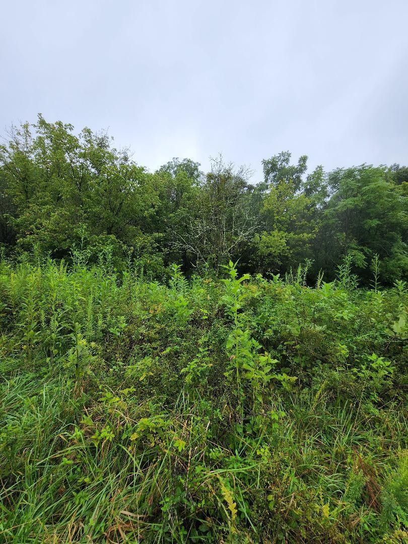 Boones Mill, Franklin County, VA Undeveloped Land for sale Property ID