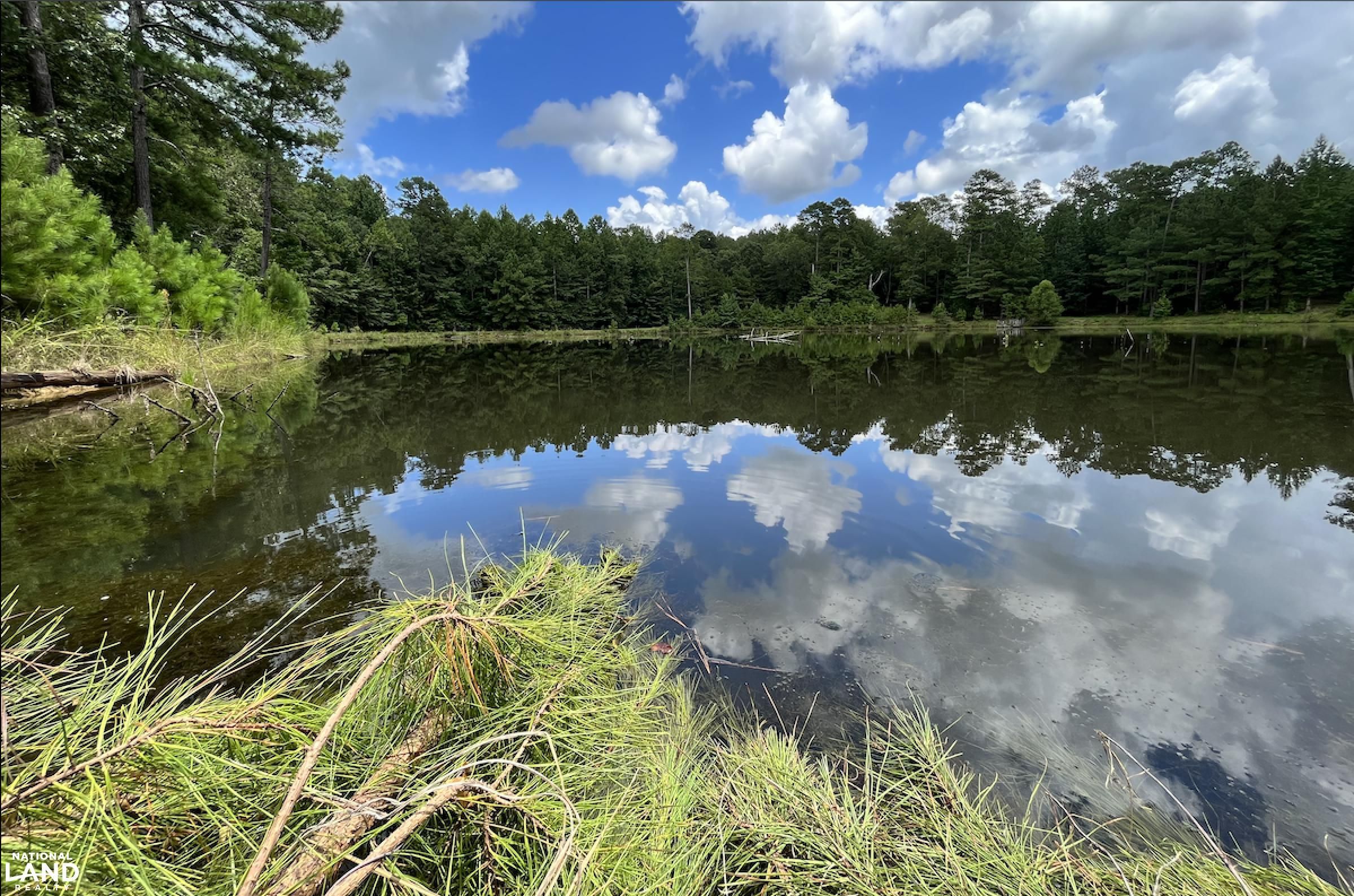 Carthage, Leake County, MS Recreational Property, Timberland Property
