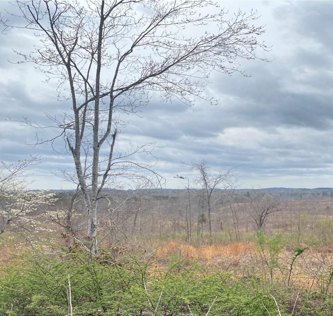 Banner, Calhoun County, MS Undeveloped Land for sale Property ID