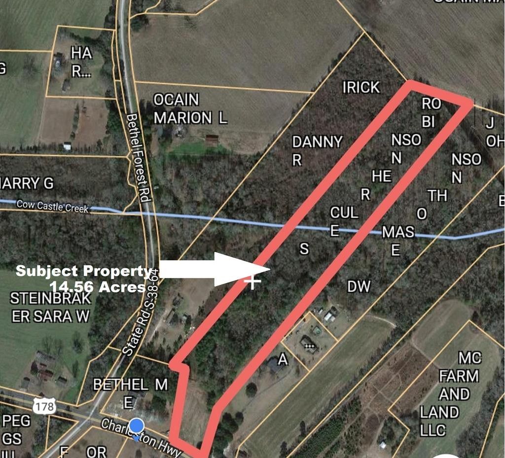 Orangeburg, Orangeburg County, SC Farms and Ranches for sale Property