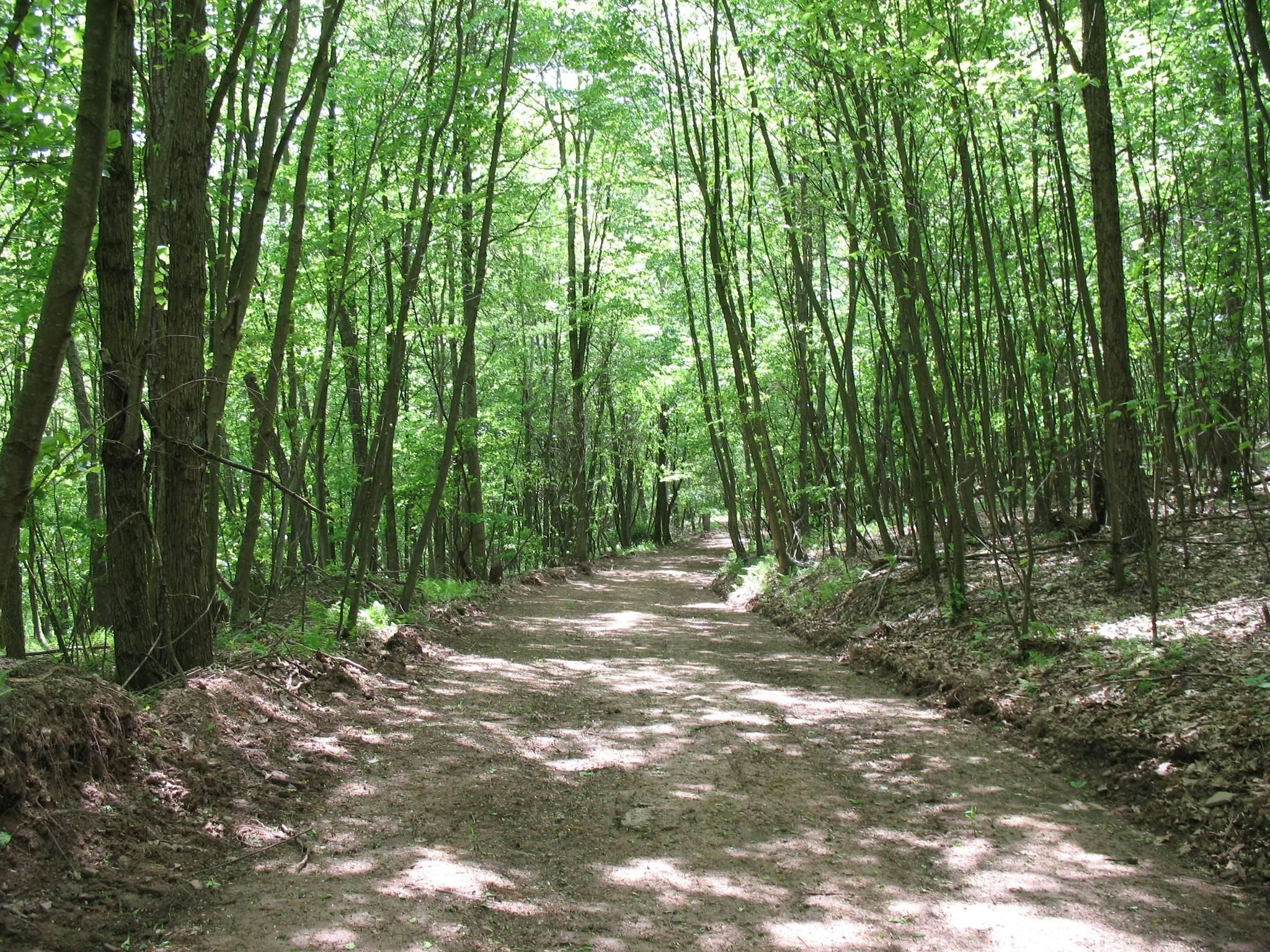 Lock Haven, Clinton County, PA Recreational Property, Hunting Property