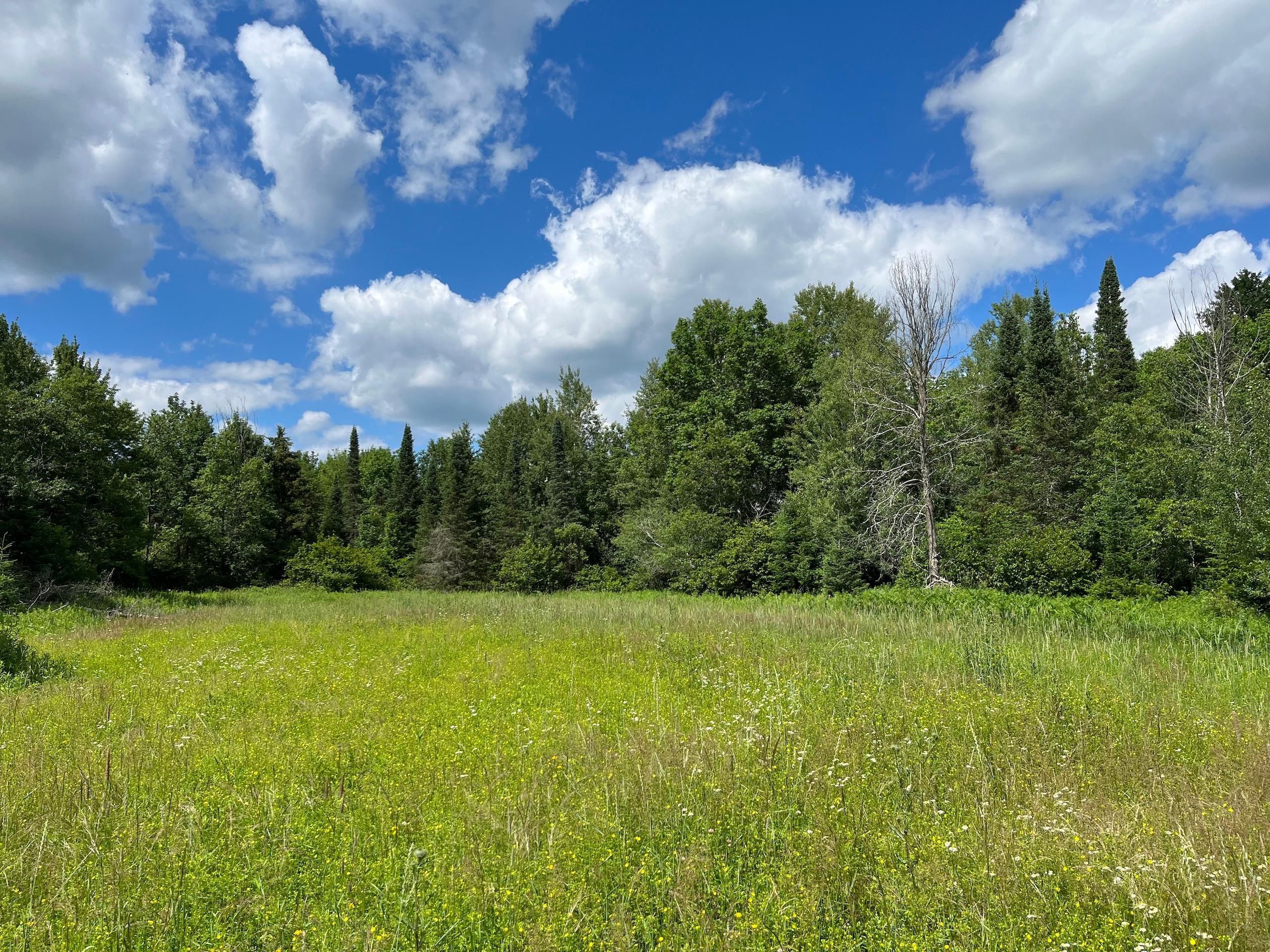 Hay Creek Road, Prentice, WI 54556 LandWatch