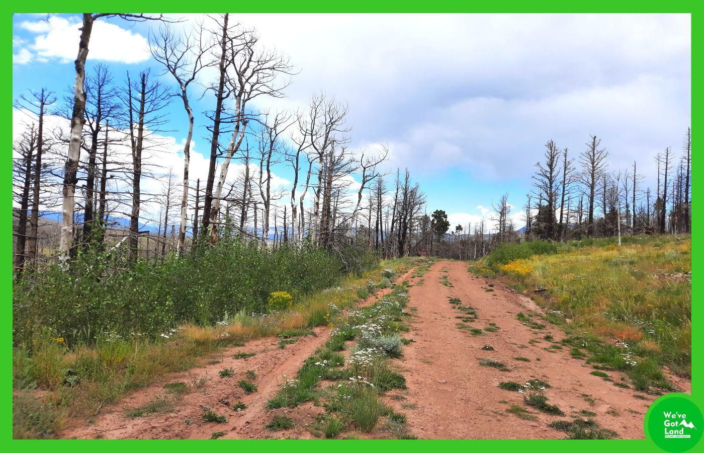 Fort Garland, Costilla County, CO Recreational Property, Undeveloped