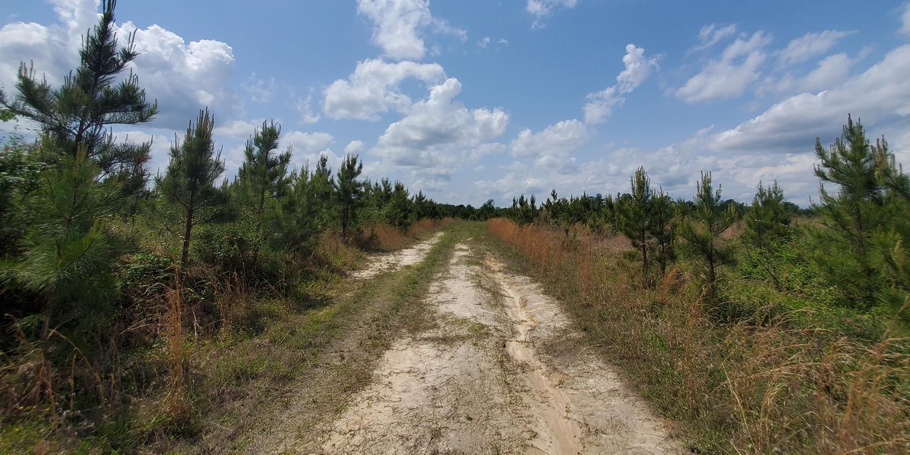 Waverly, Sussex County, VA Recreational Property, Timberland Property, Commercial Property for