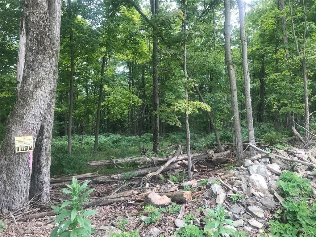 Cortland, Cortland County, NY Undeveloped Land for sale Property ID