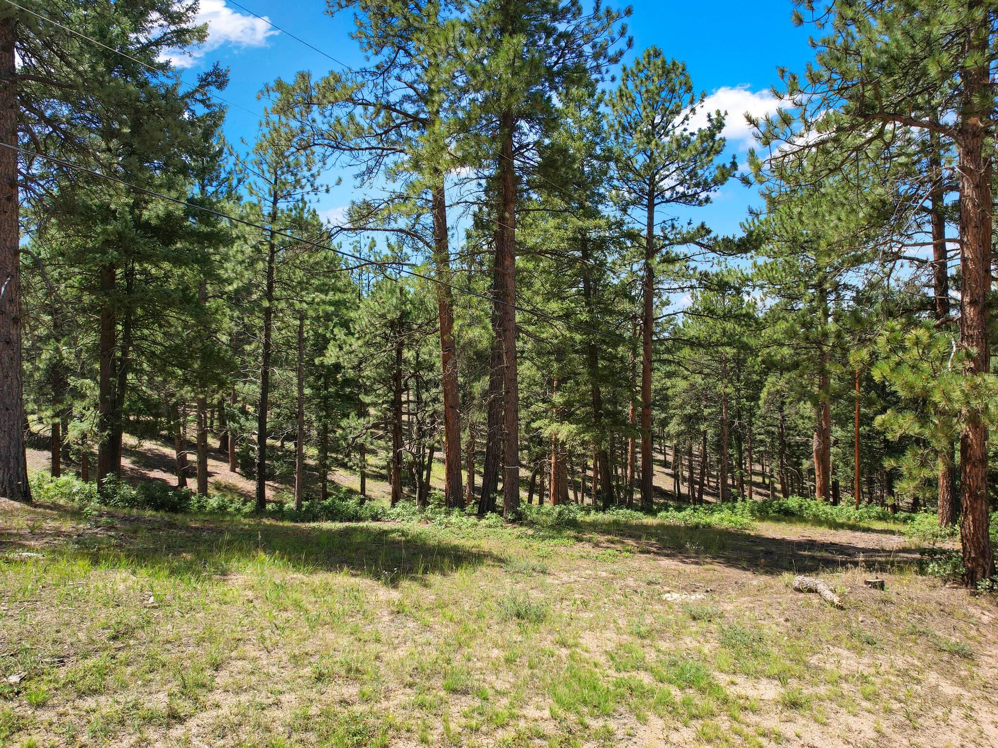 Sedalia, Douglas County, CO for sale Property ID 414557375 LandWatch