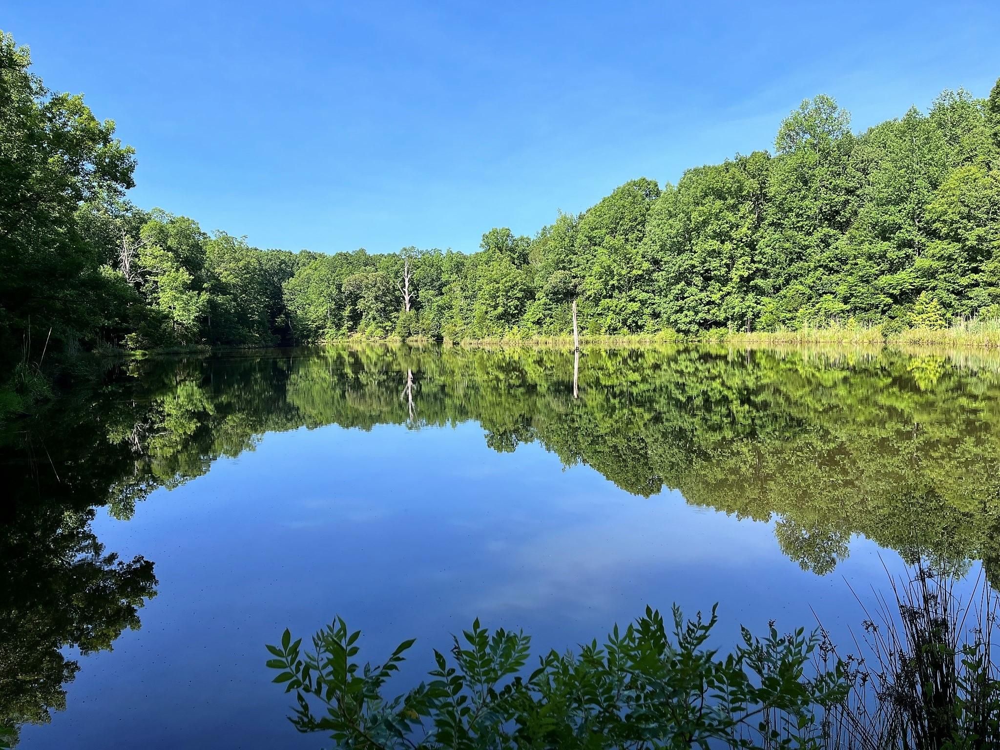 0 Frank Bunn Road, Forsyth, GA 31029 LandWatch