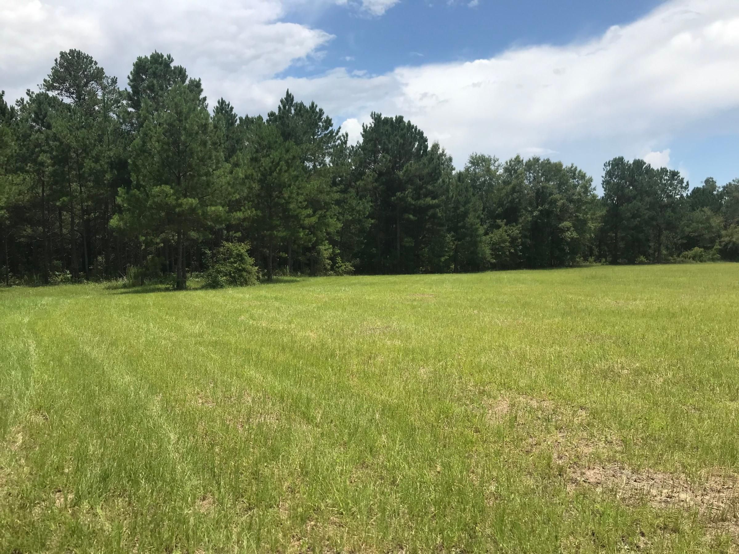 Adrian, Johnson County, GA Recreational Property, Timberland Property, Hunting Property for sale