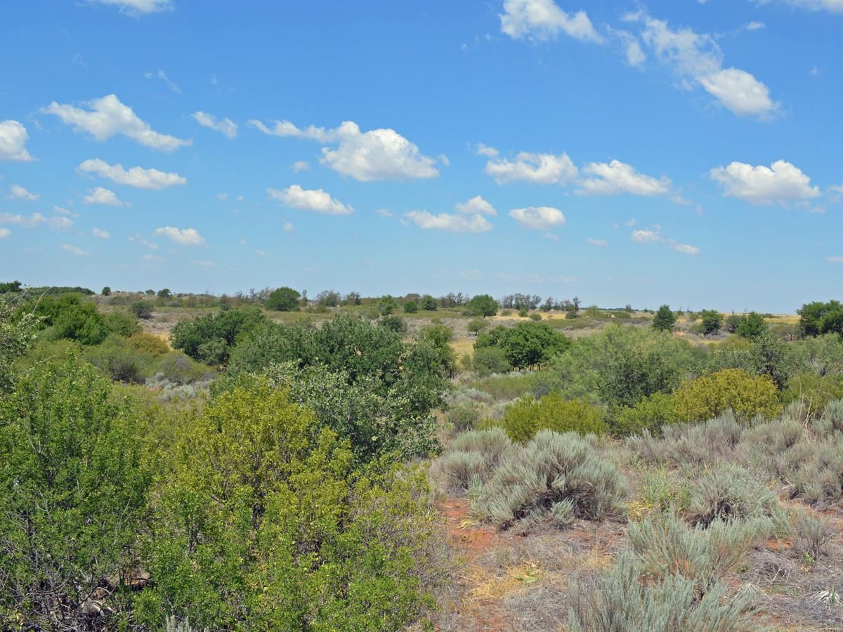 159.31 acres in Grandfield, OK, 73546 LandWatch