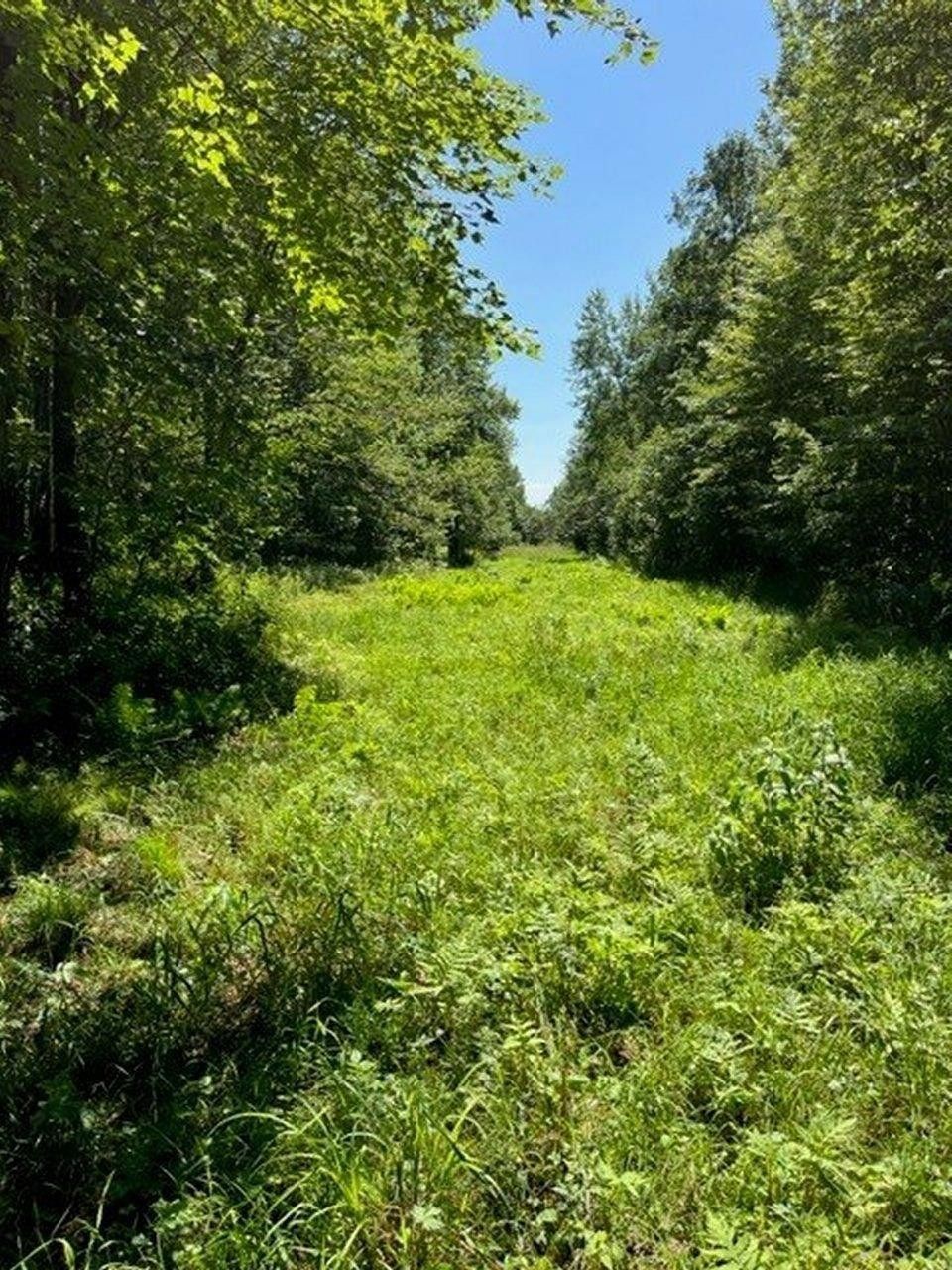 Kennan, Price County, WI Undeveloped Land for sale Property ID 414560247 LandWatch