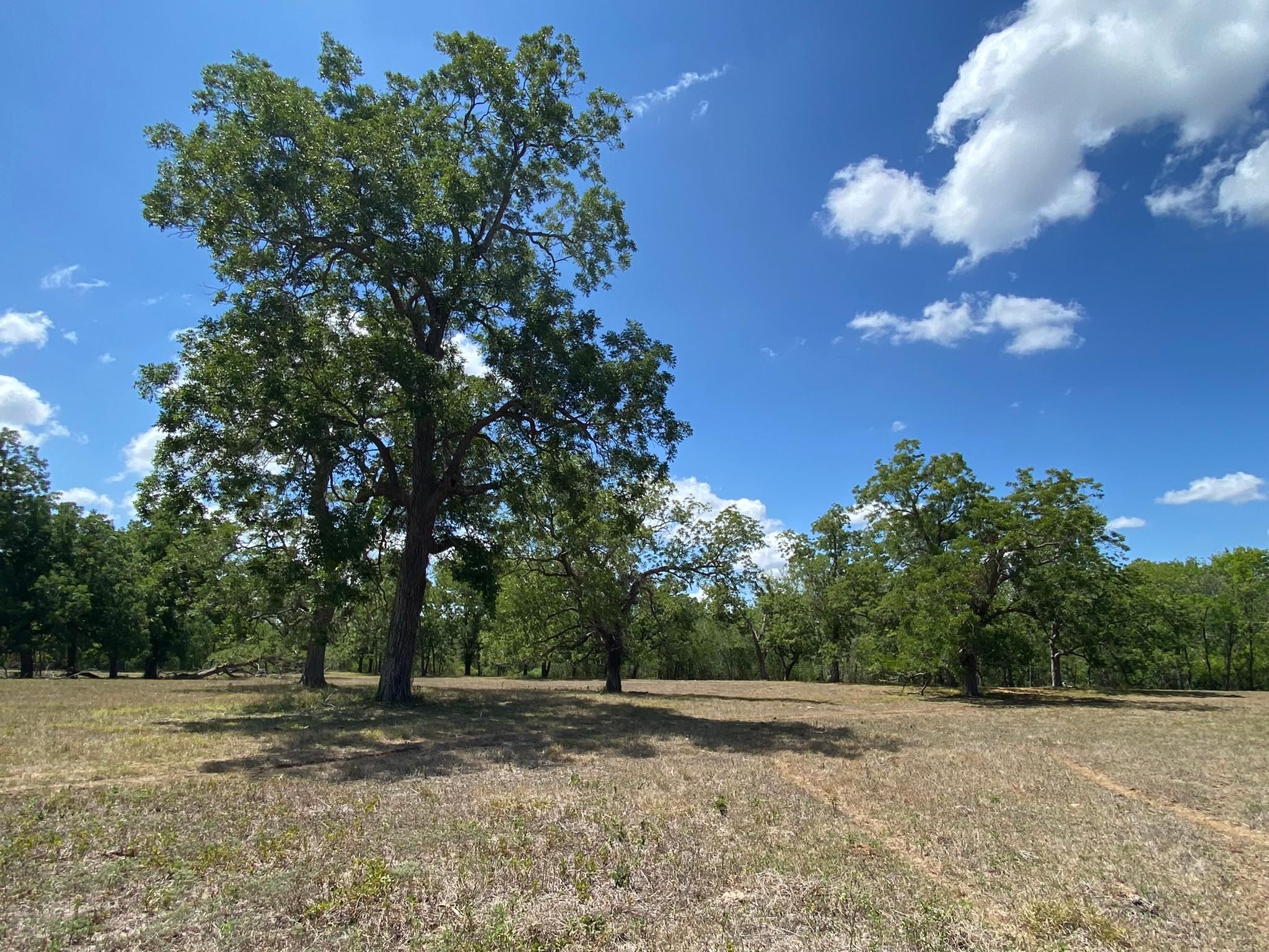 FM 1458, Brookshire, TX 77423 LandWatch