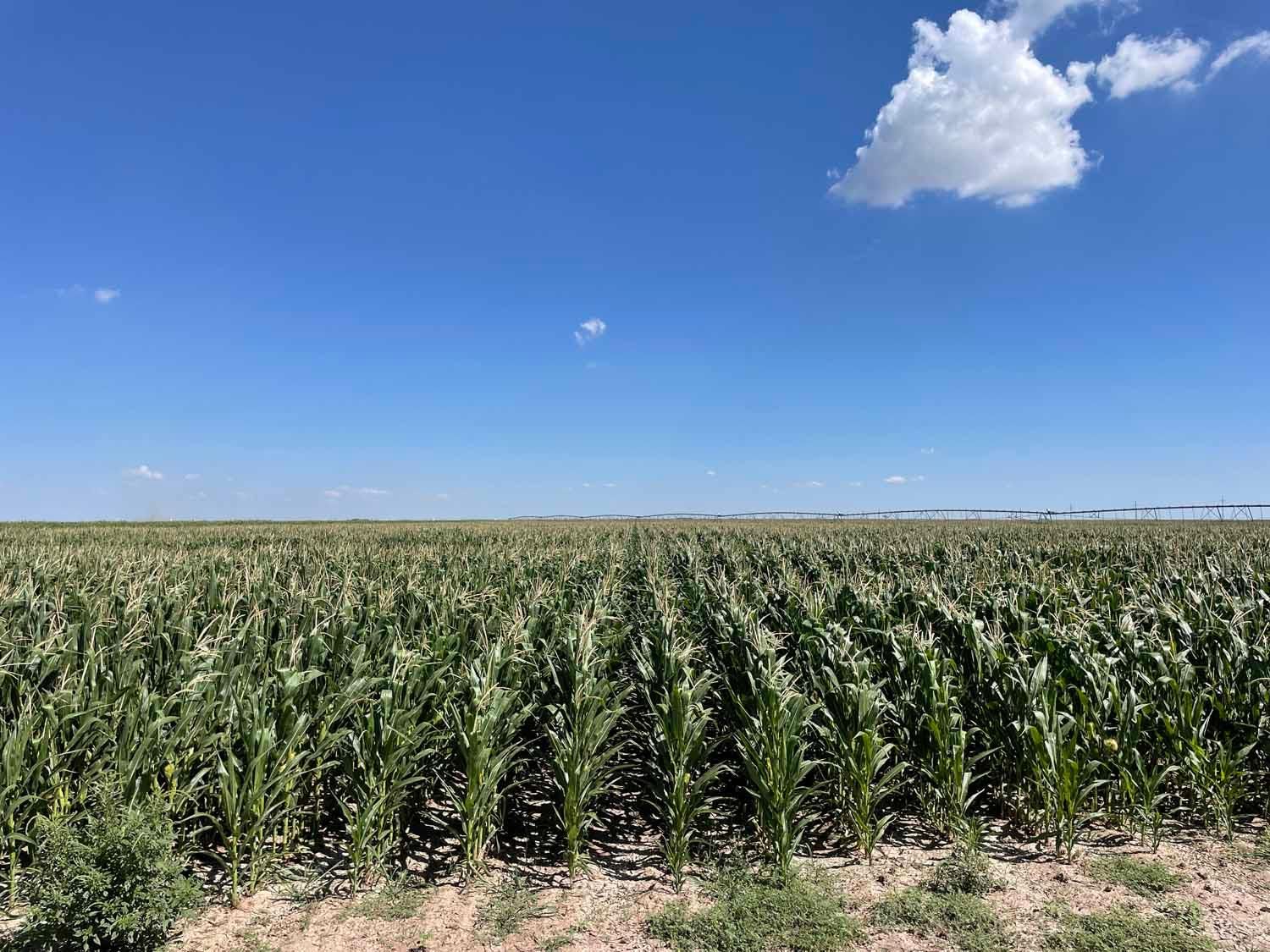 Stratford, Sherman County, TX Farms and Ranches, House for sale