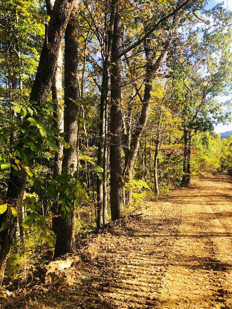 Irvine, Estill County, KY Farms and Ranches for sale Property ID