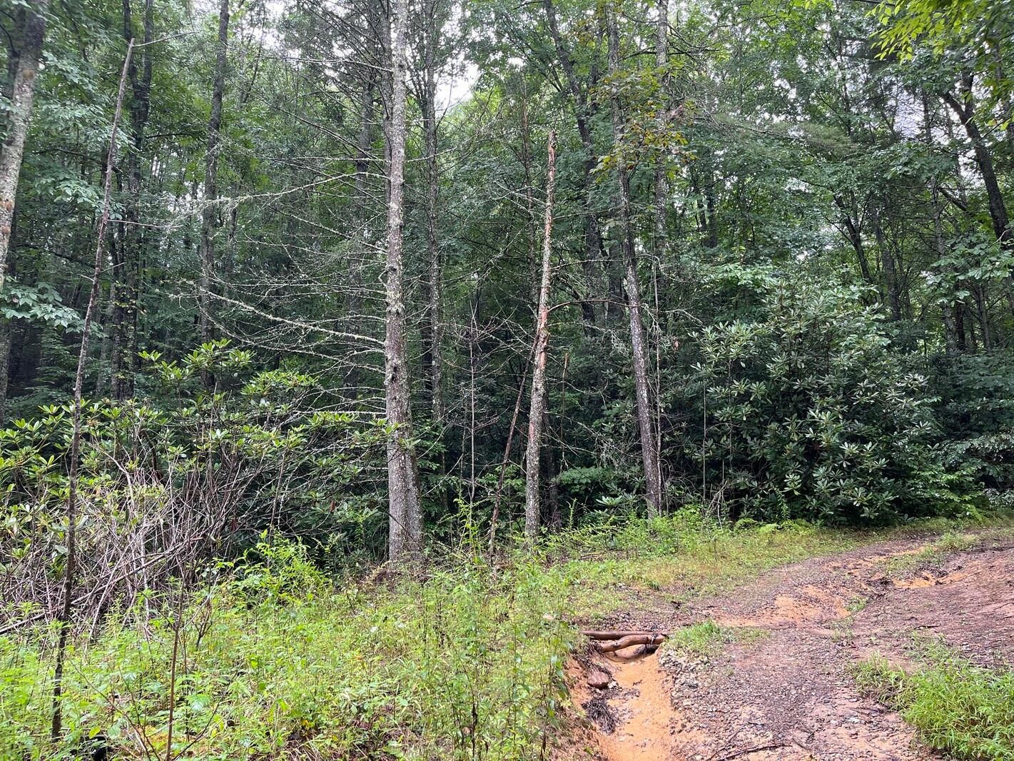 Mountain City, Johnson County, TN Recreational Property, Undeveloped