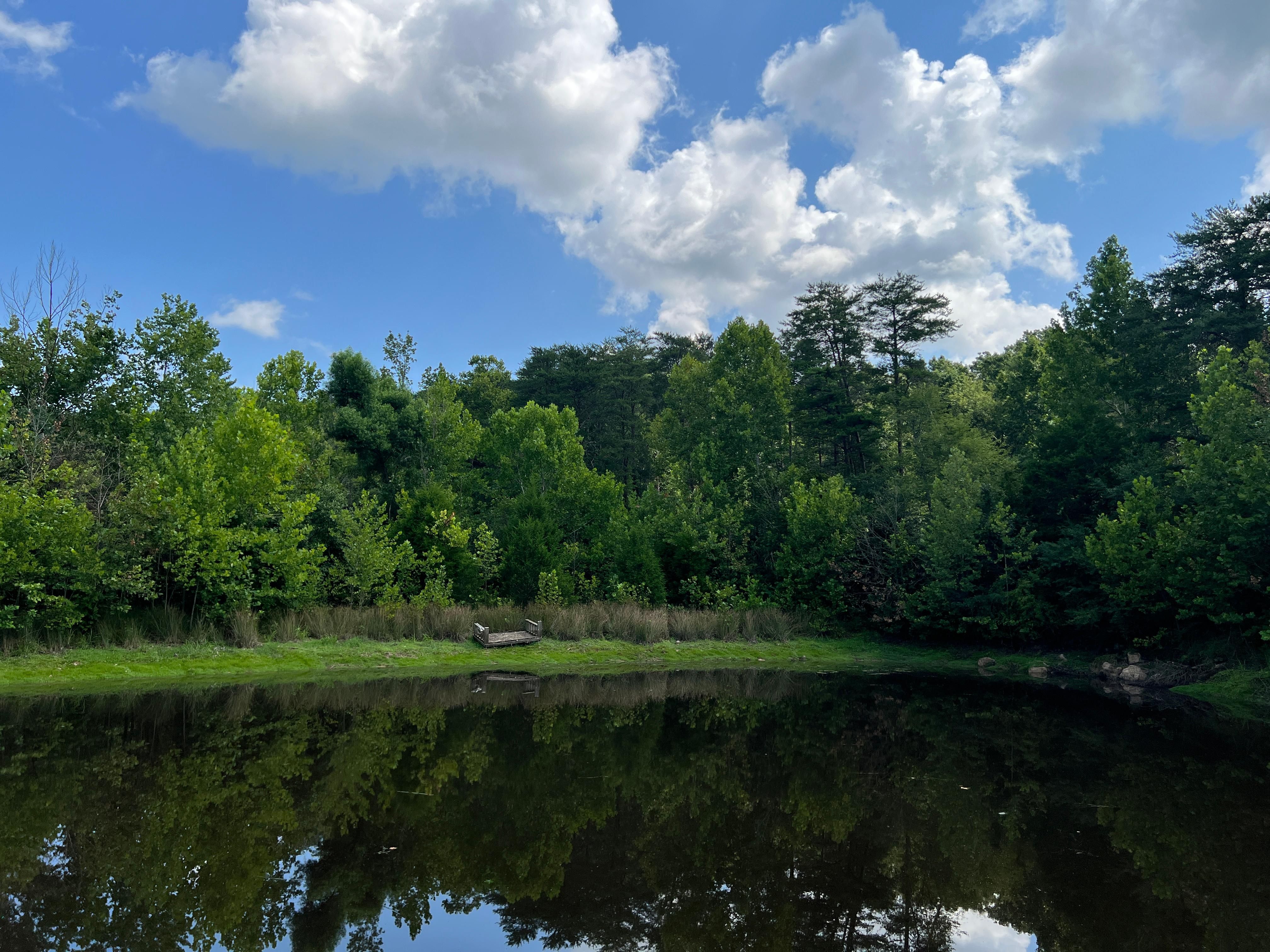 0 Gulch Road, Trenton, GA 30752 MLS 7100110 LandWatch