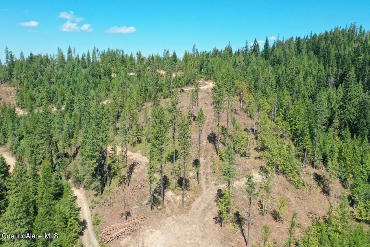 Fernwood, Benewah County, ID Undeveloped Land for sale Property ID