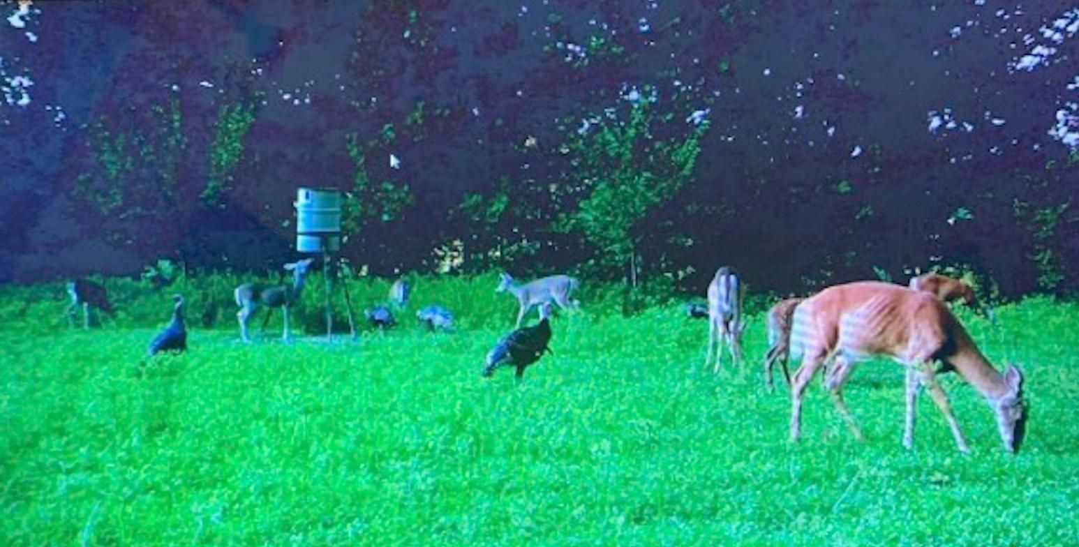 West Portsmouth, Scioto County, OH Recreational Property, Timberland Property, Hunting Property