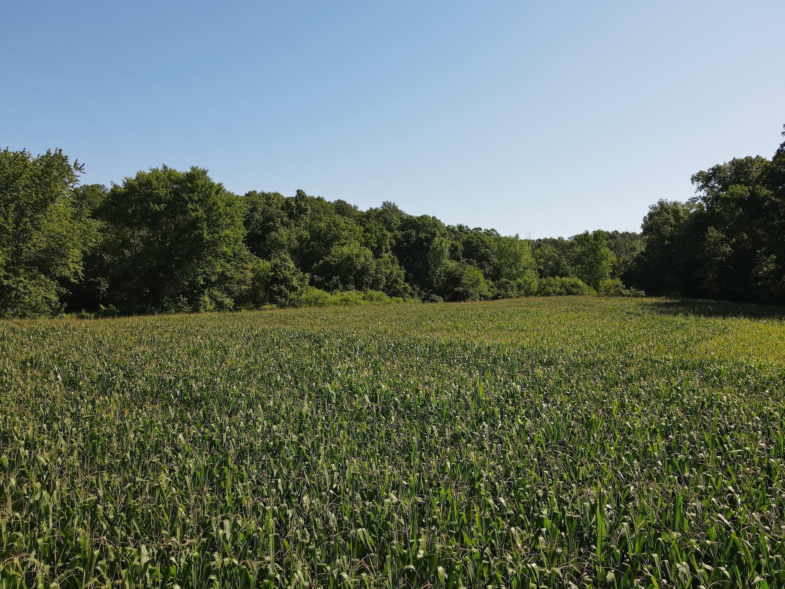 CR 2300 E, Beecher City, IL 62414 LandWatch
