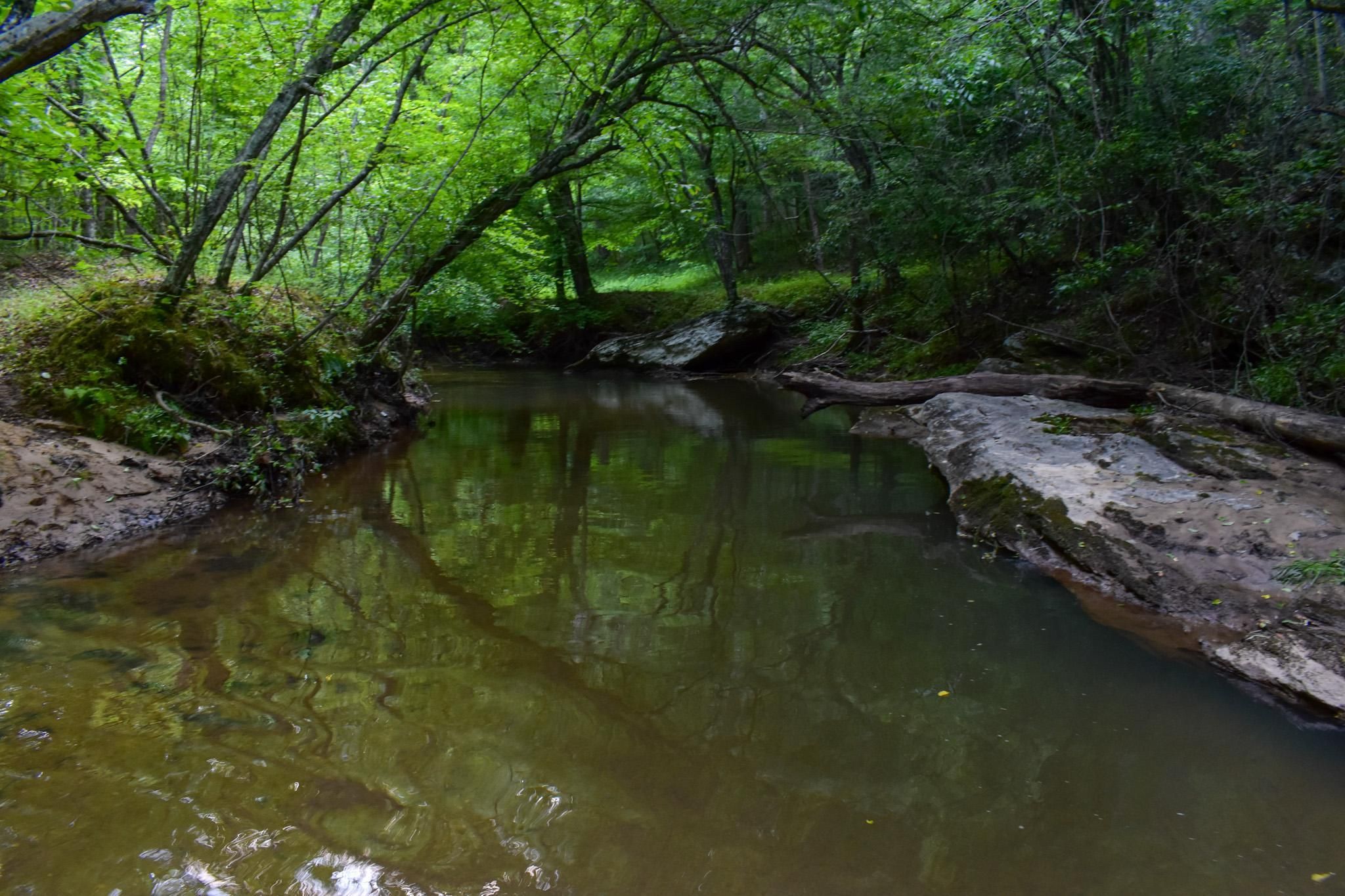 Westfield, Stokes County, NC Recreational Property, Timberland Property