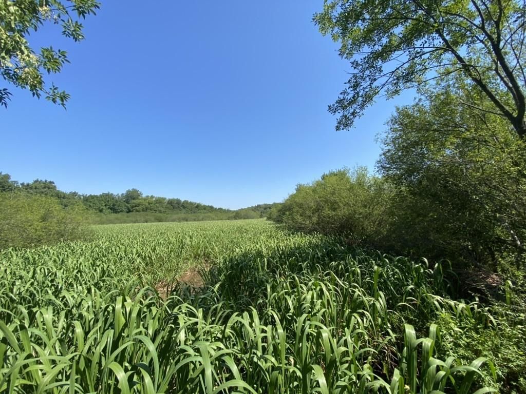 Bristow, Creek County, OK Recreational Property, Hunting Property for