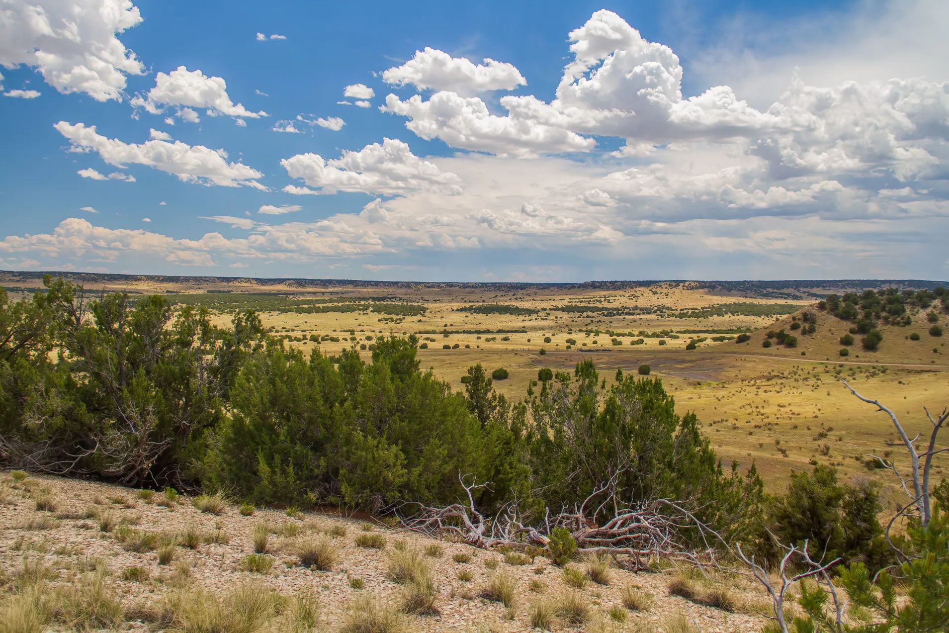 Model, Las Animas County, CO Recreational Property, Undeveloped Land