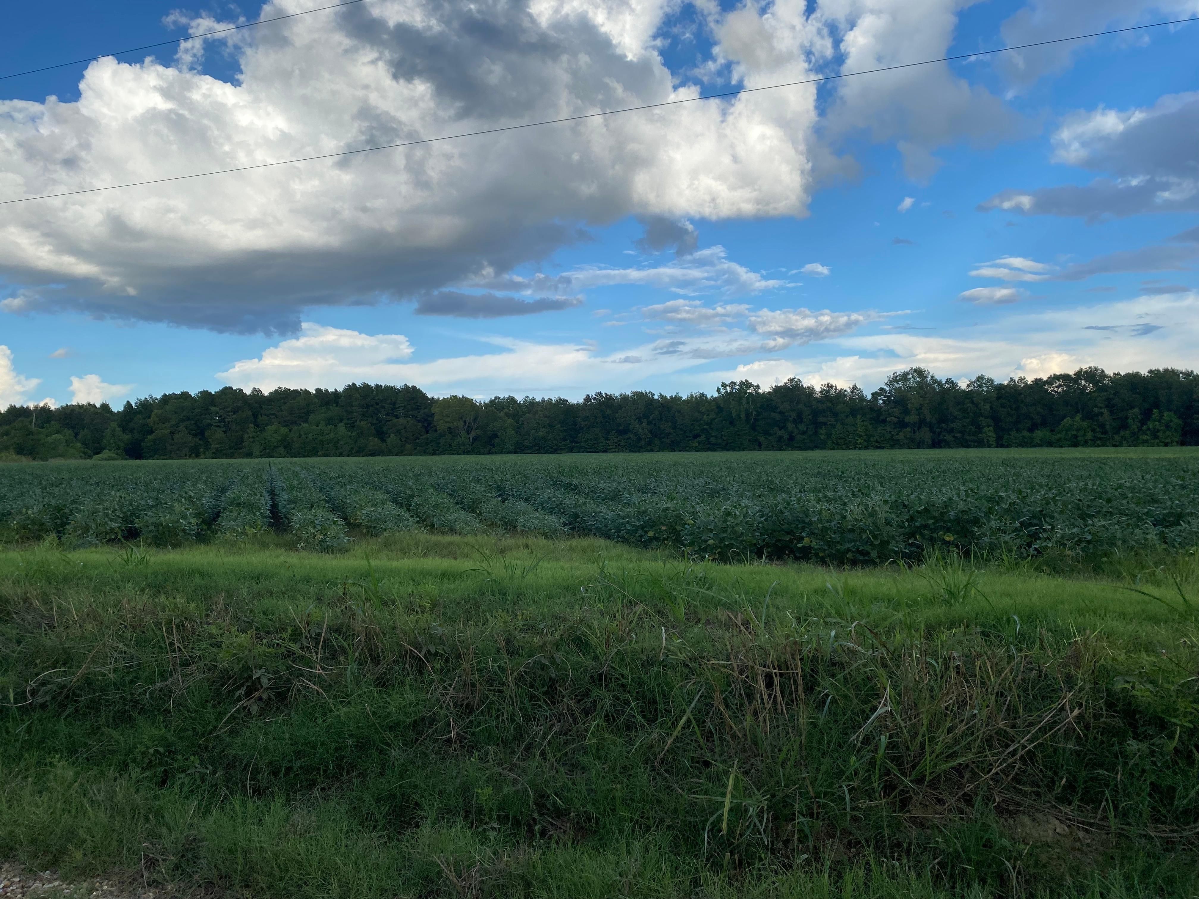 Winnsboro, Franklin Parish, LA Farms and Ranches, Recreational Property