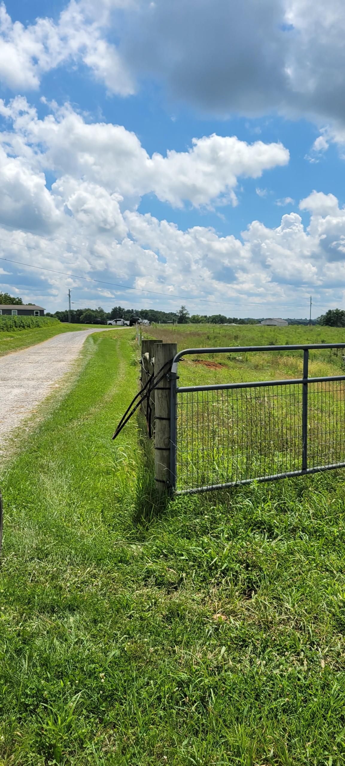Dillon Lane, Ewing, KY 41039 MLS dillon5 LandWatch