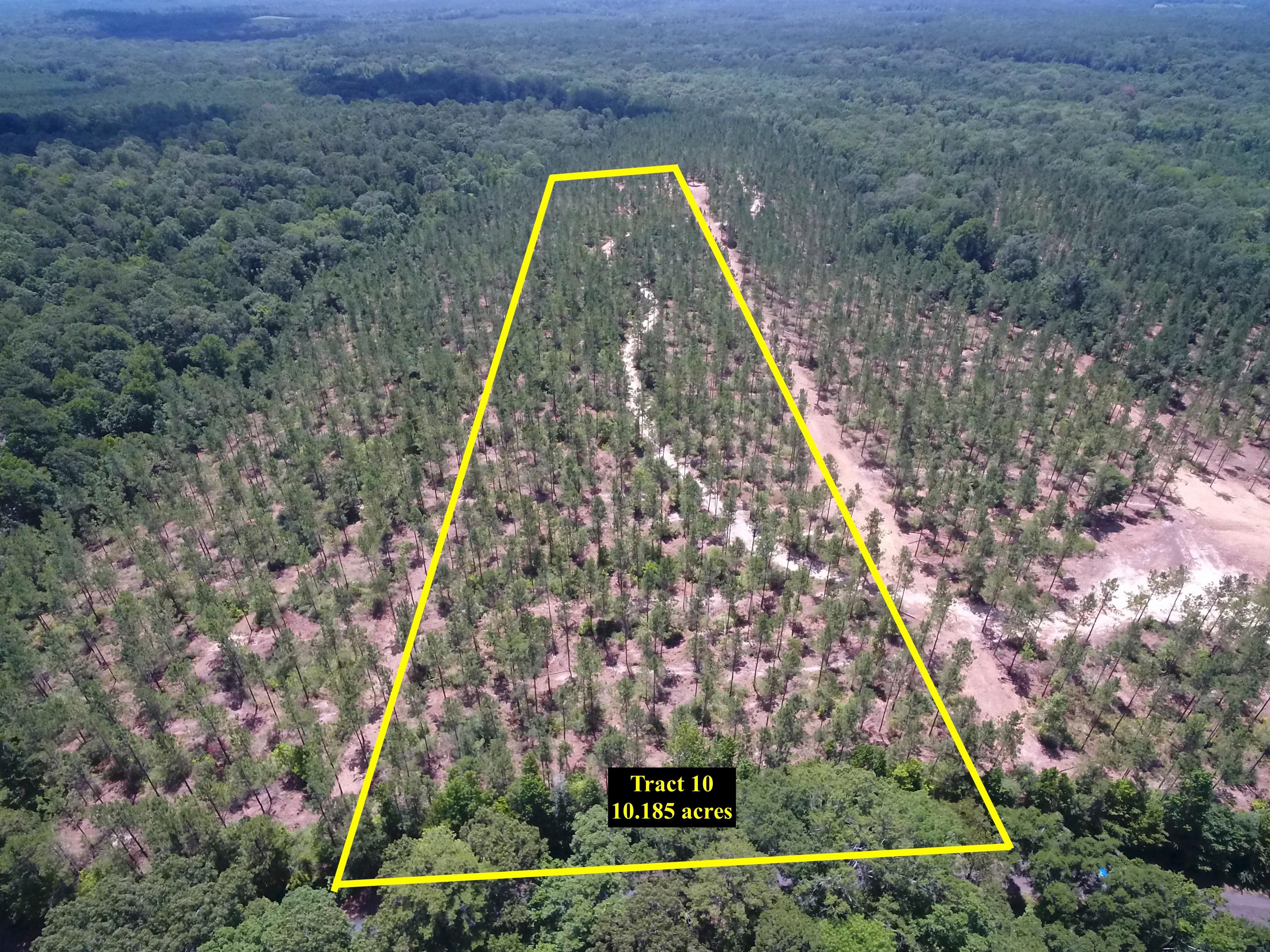 Tenaha, Panola County, TX Recreational Property for sale Property ID 414566907 LandWatch