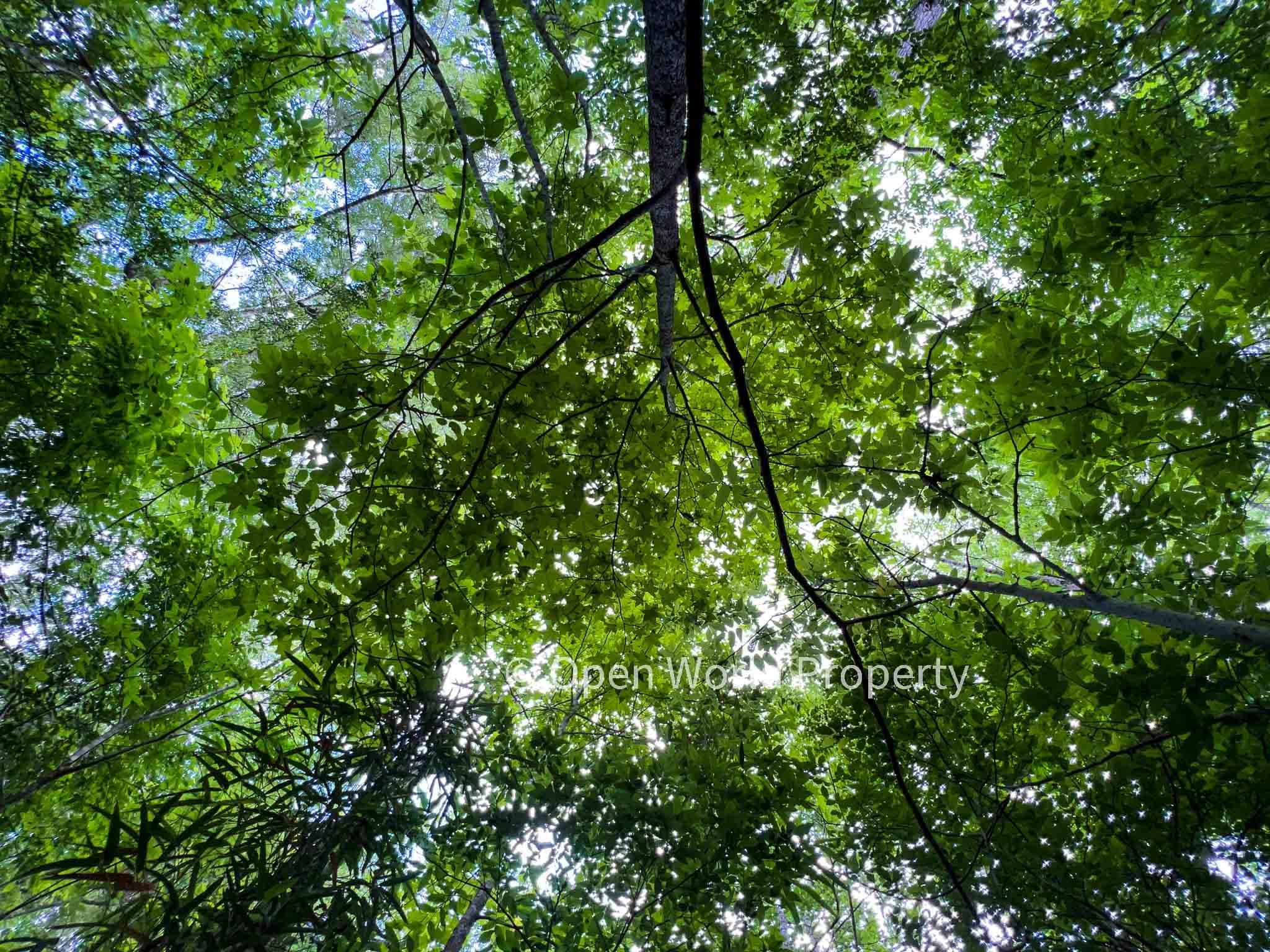 Hardin, Liberty County, TX Recreational Property, Undeveloped Land