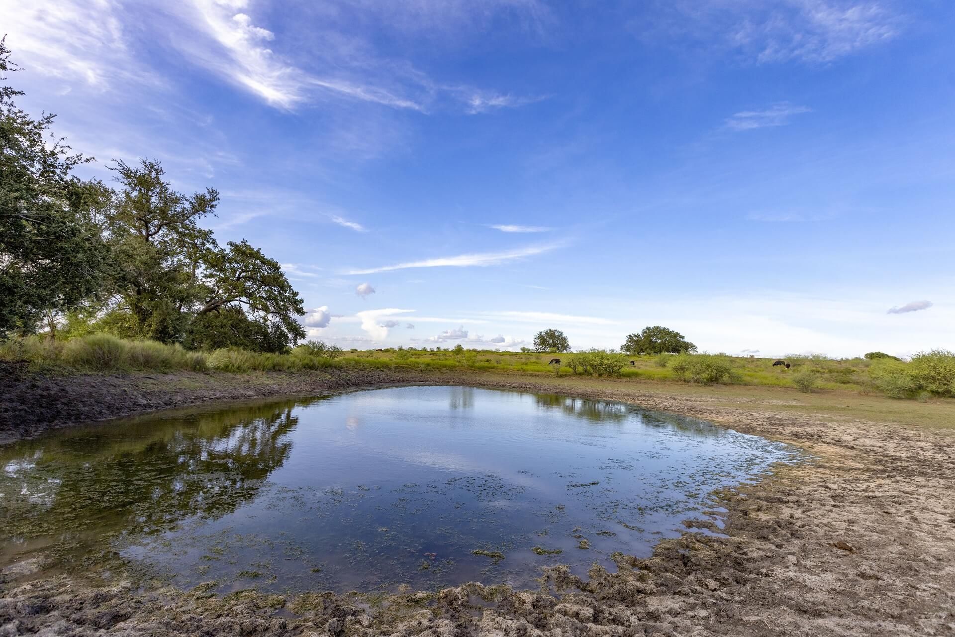 Yokum, Gonzales County, TX Farms and Ranches, Undeveloped Land