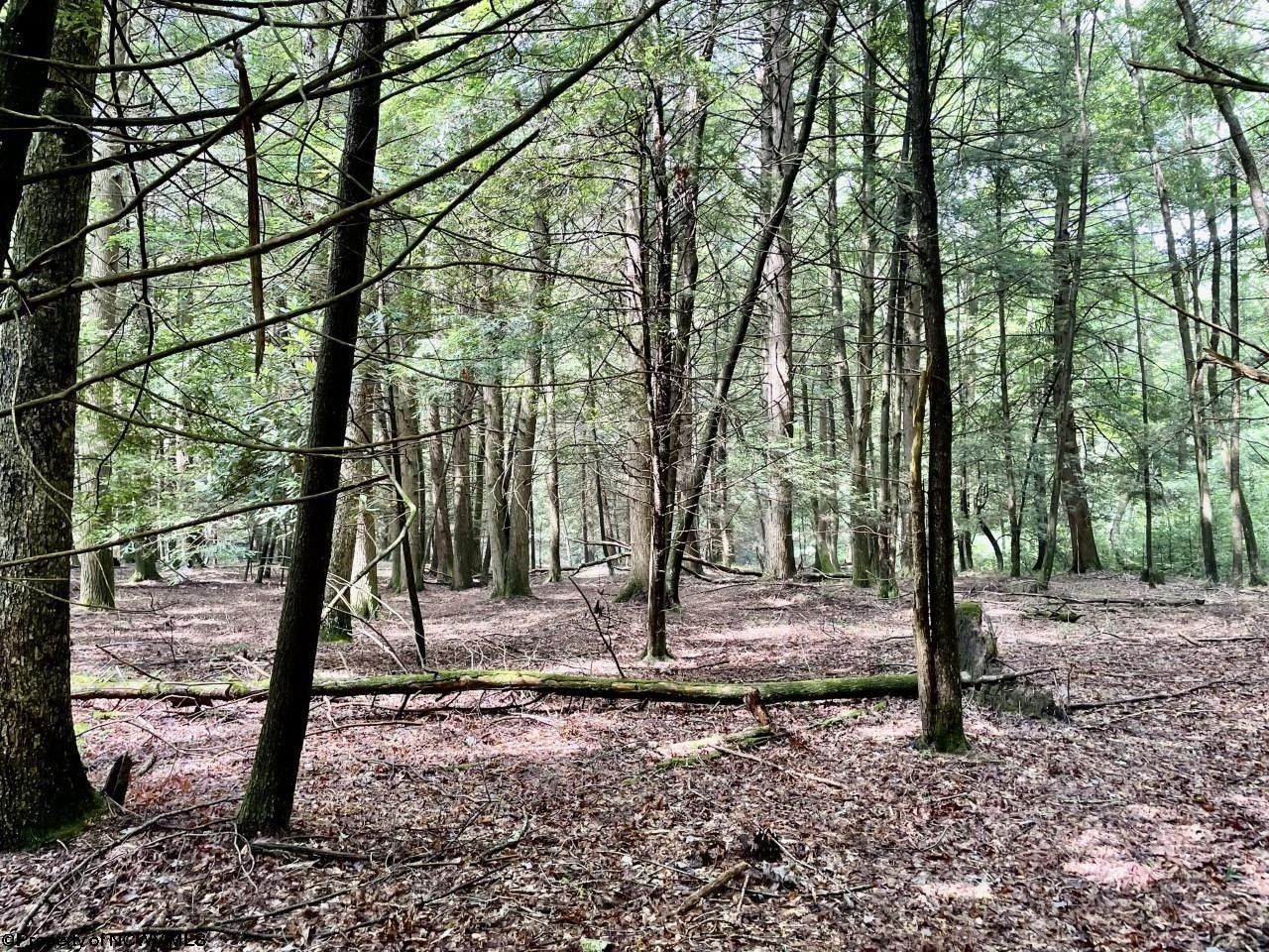 Bruceton Mills, Preston County, WV Farms and Ranches, Lakefront