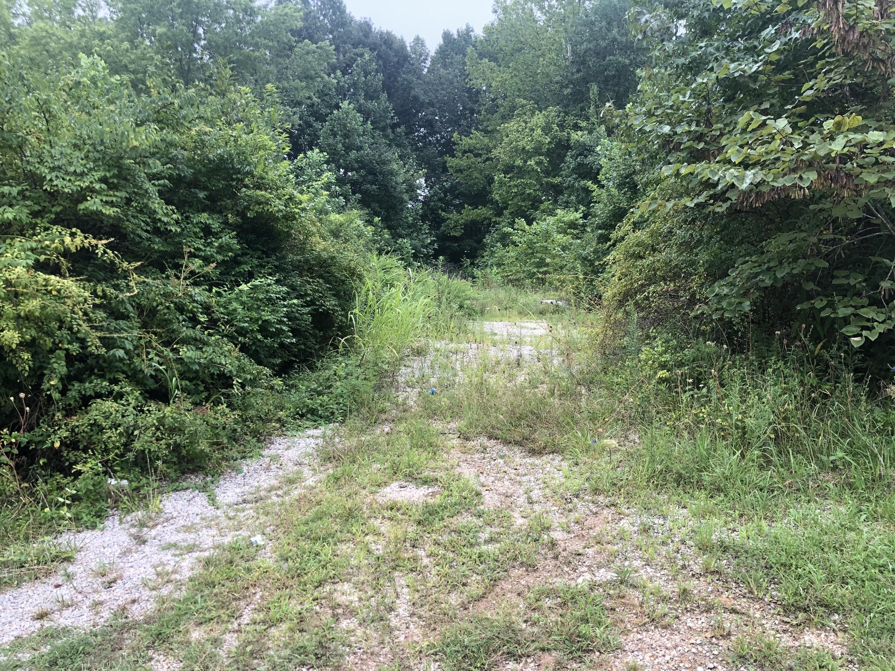 Irvine, Estill County, KY Undeveloped Land, Homesites for sale Property