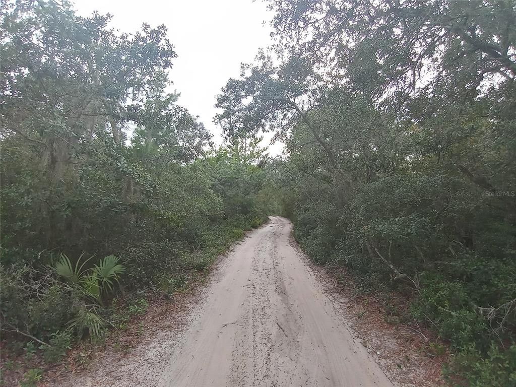 Fort Mc Coy, Marion County, FL Farms and Ranches, Homesites for sale