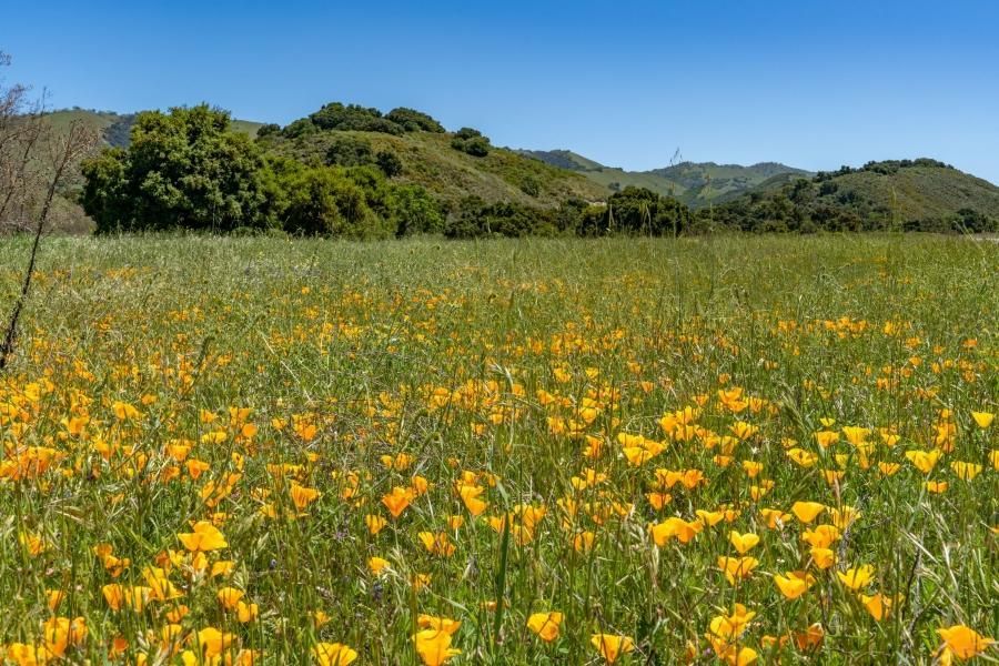 14,141 acres in Carmel Valley, CA, 93924 LandWatch