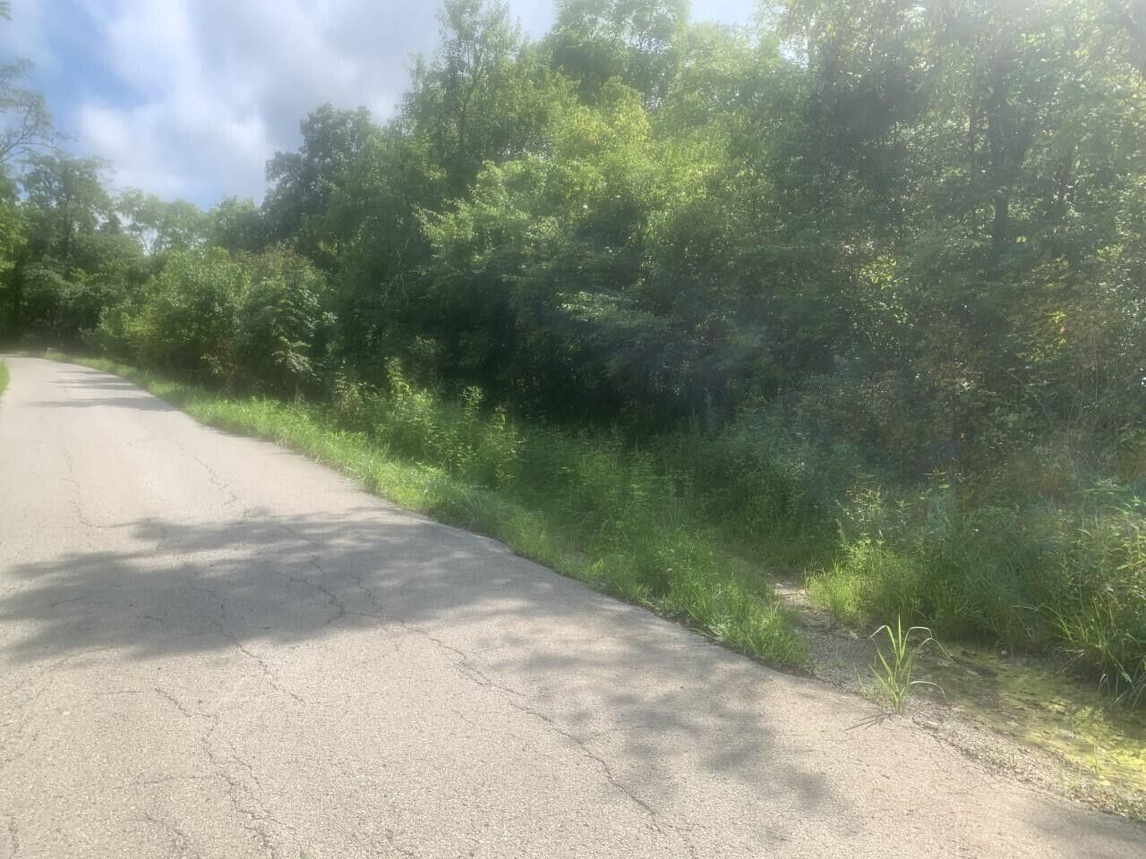 Falmouth, Pendleton County, KY Undeveloped Land for sale Property ID