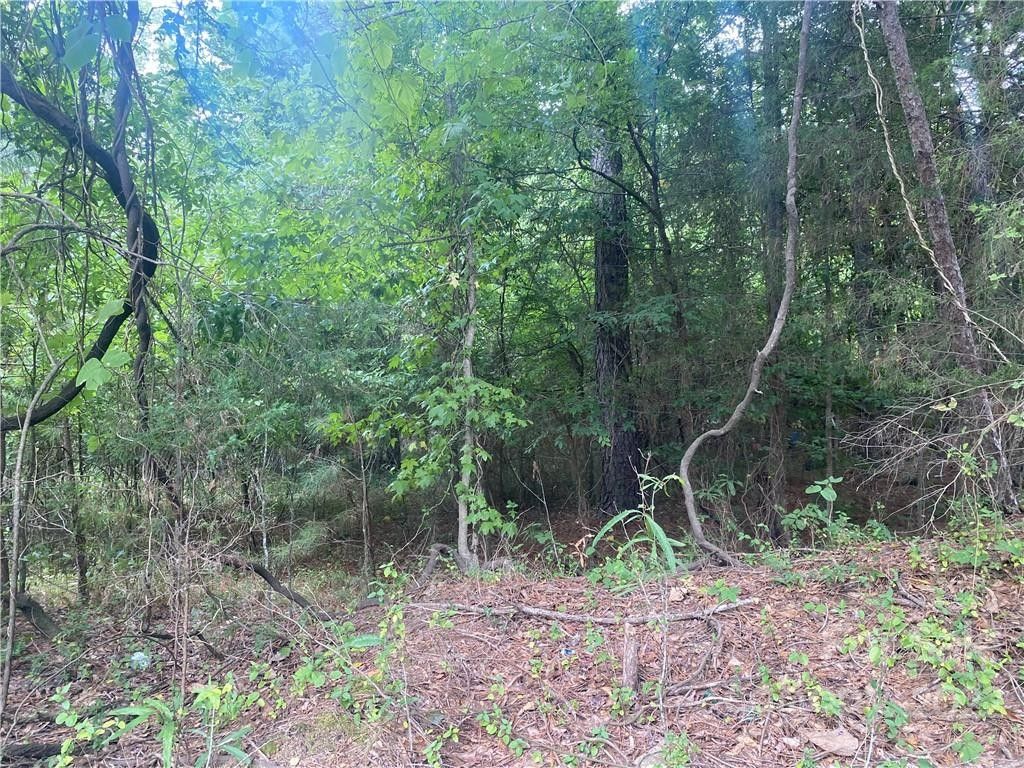 Chester, Chester County, SC Farms and Ranches, Homesites for sale