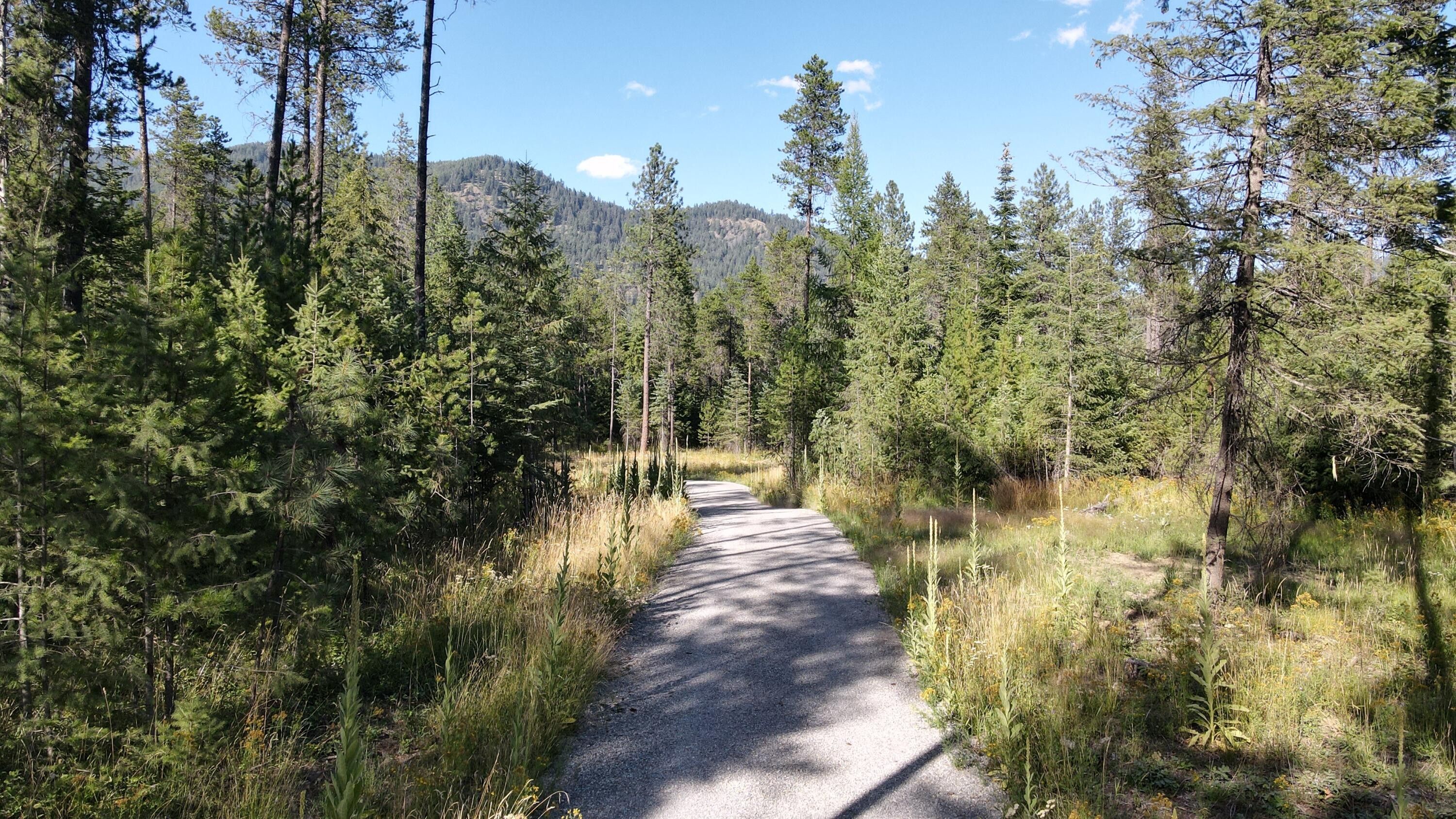 Trout Creek, Sanders County, MT Undeveloped Land, Homesites for sale