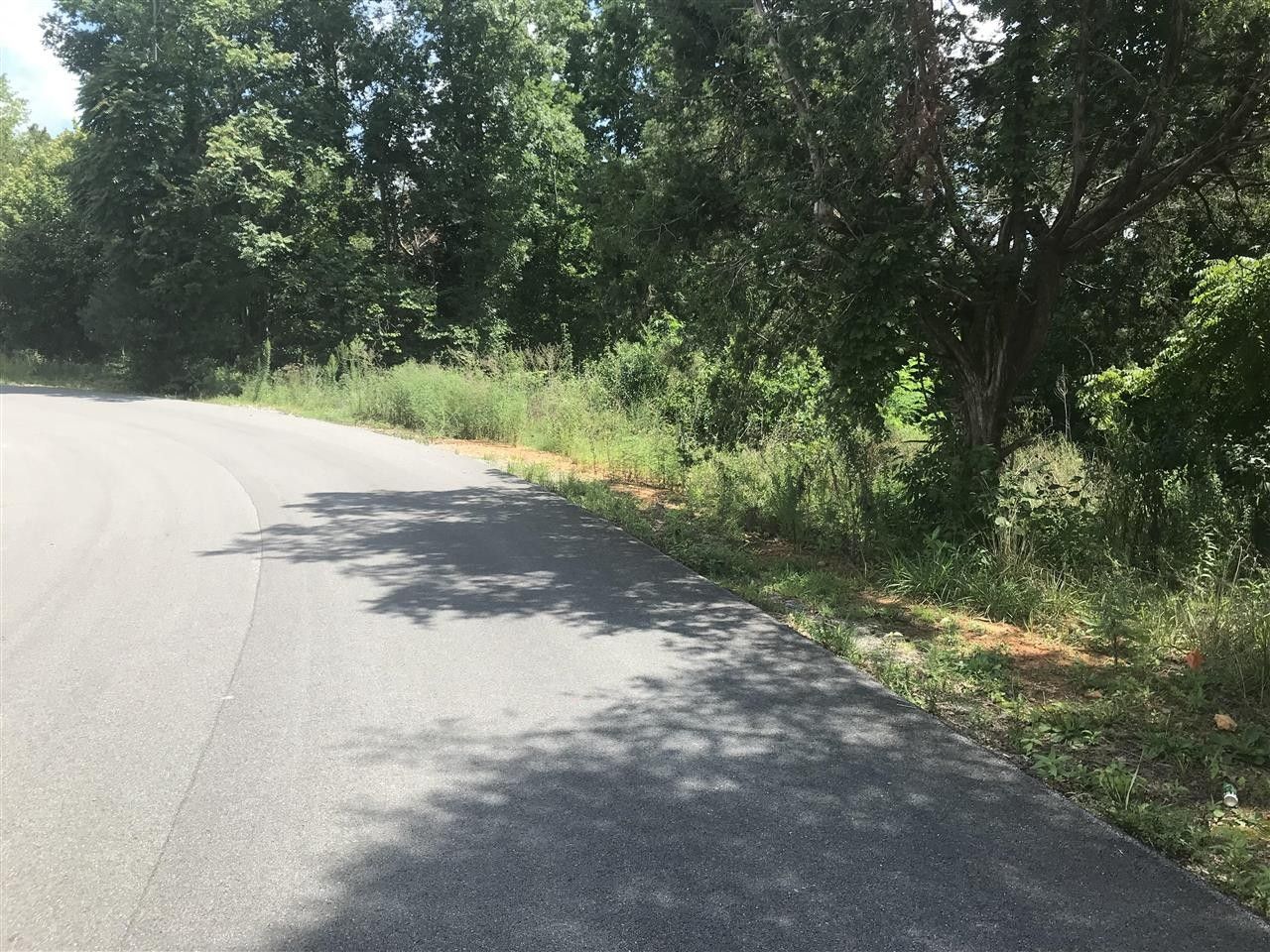 Scottsville, Allen County, KY Commercial Property, Homesites for sale