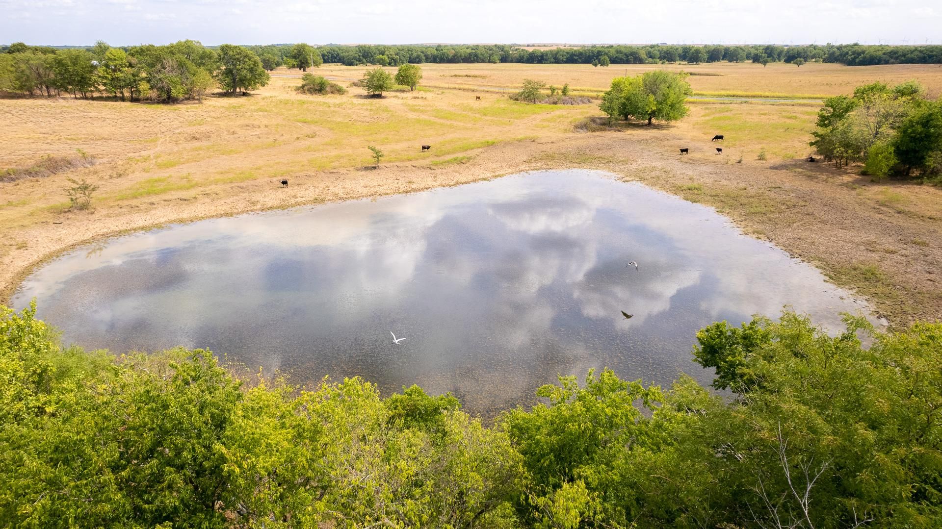 Roff, Pontotoc County, OK Farms and Ranches, Undeveloped Land, Hunting
